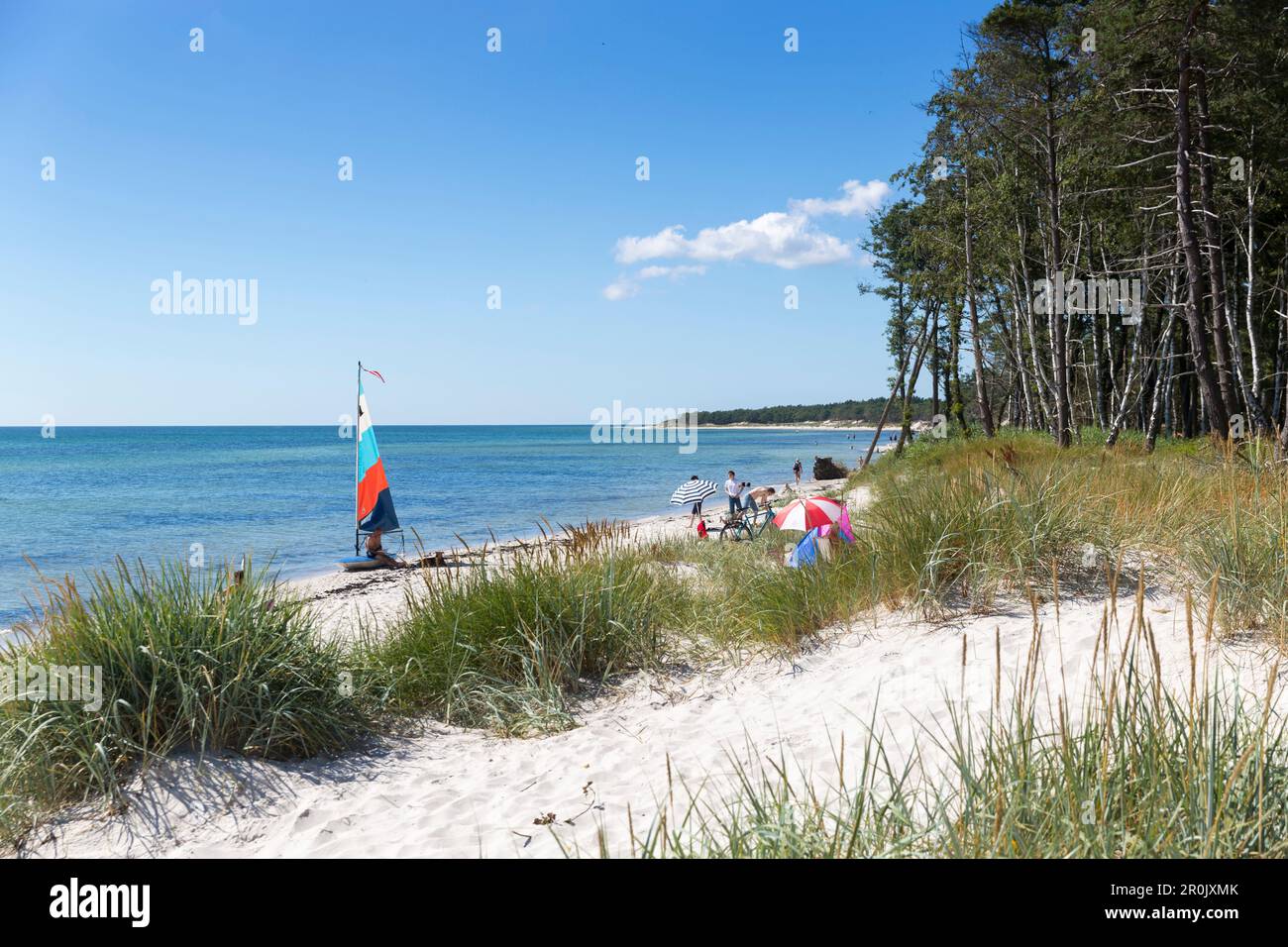 family-on-the-beach-dream-beach-between-strandmarken-und-dueodde