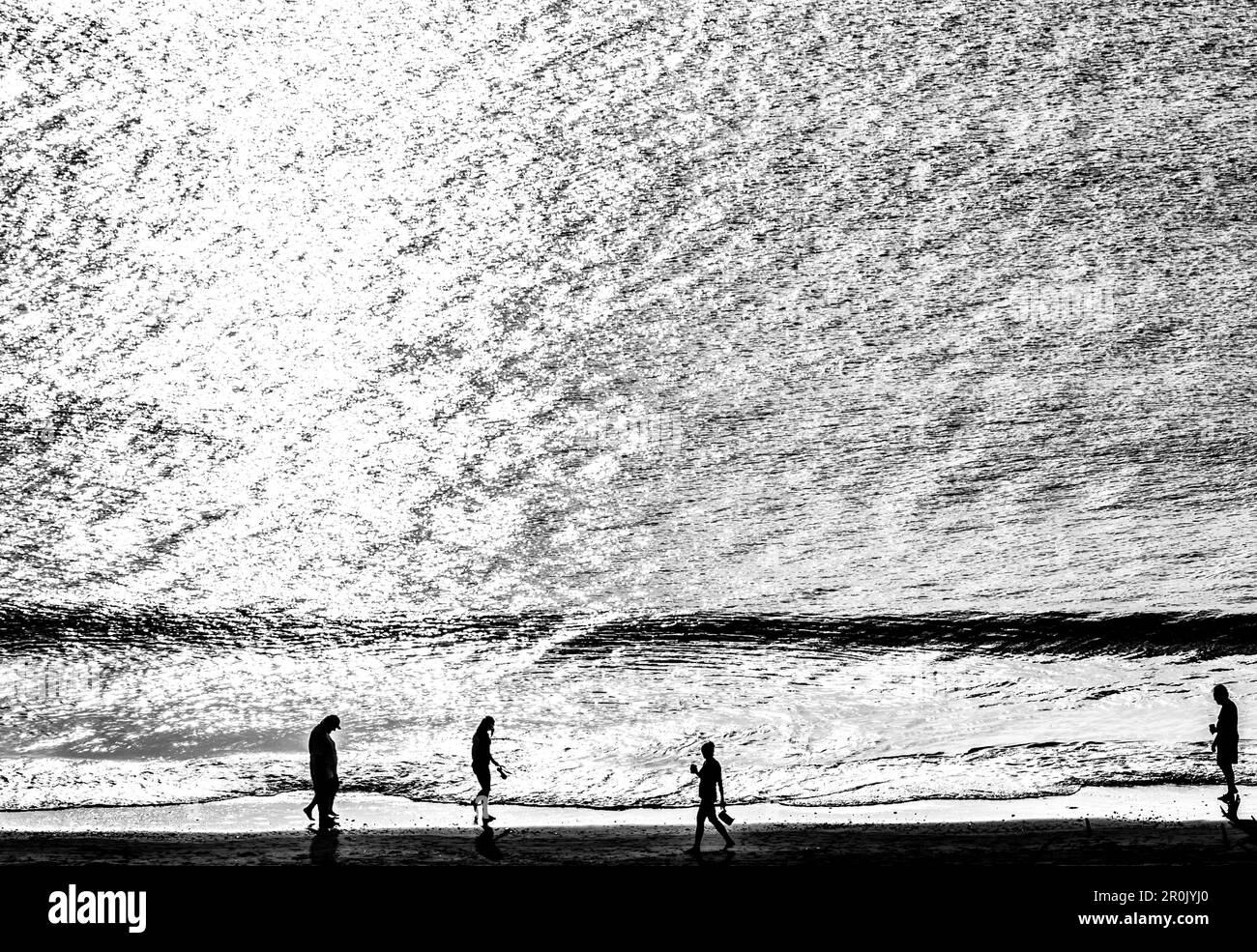 People on the beach of the golf of Mexico as a silhouette seen from a
