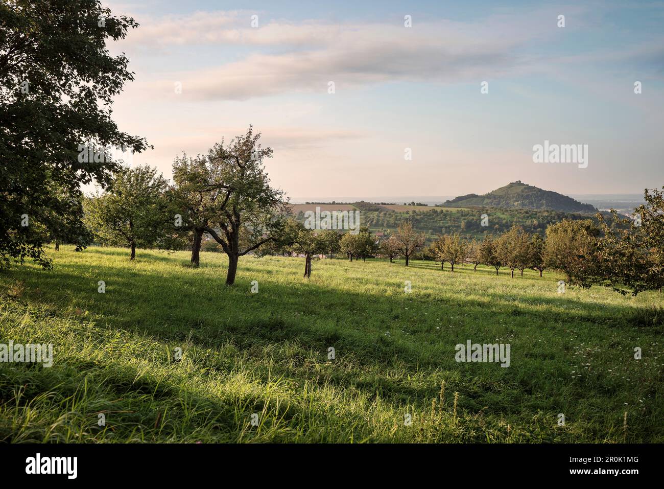 stellenangebote stadt weilheim teck
