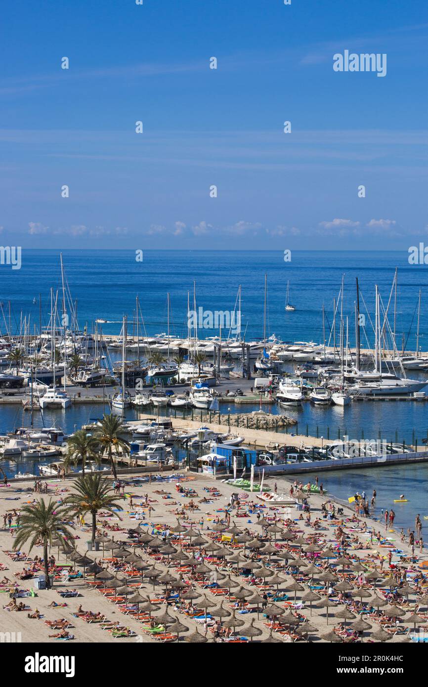 Overhead of palm trees and people on Playa s'Arenal beach with marina ...
