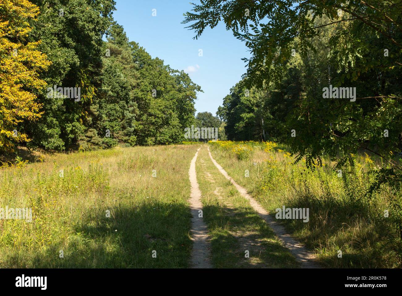 former Reichsautobahn, Third Reich, overgrown artery, deserted ...