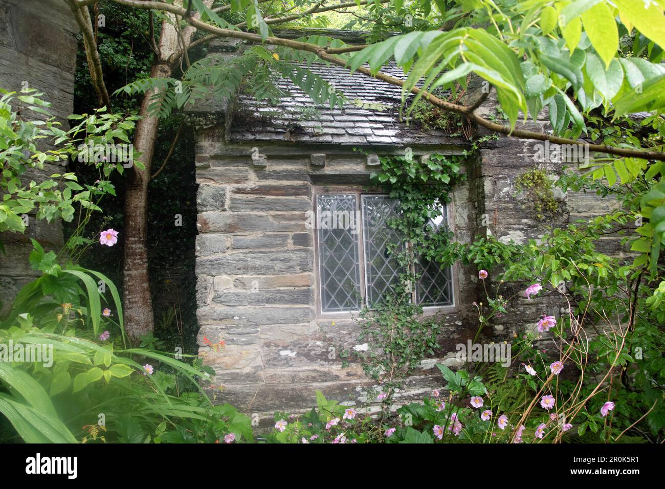 Abandoned shack in high hi-res stock photography and images - Alamy