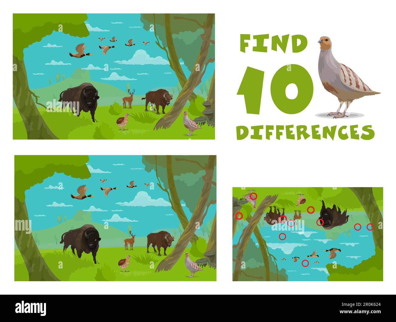 Find ten differences. Cartoon wild animals. Child matching game