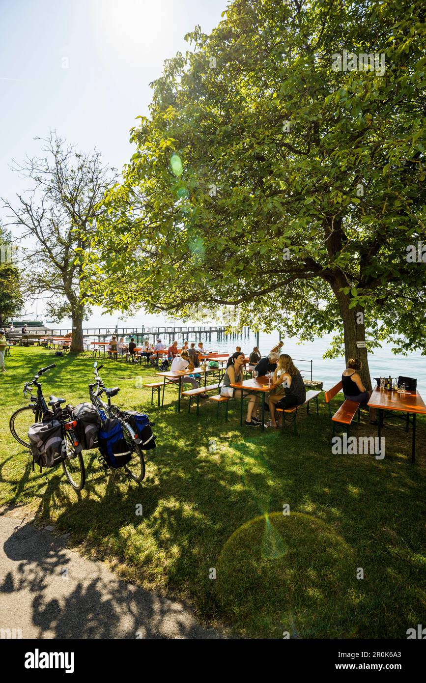 beer garden, Rebgut Haltnau, Meersburg, Lake Constance, Baden-Württemberg, Germany Stock Photo
