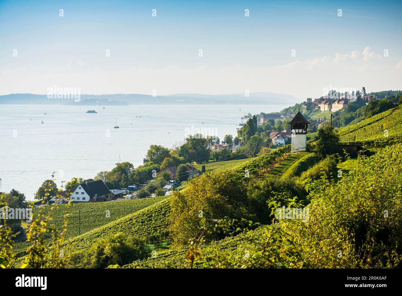 Historic Rebgut Haltnau vineyard on Lake Constance, with the town of Meersburg am Bodensee on the right, Lake Constance, Meersburg, Baden-Württemberg, Stock Photo