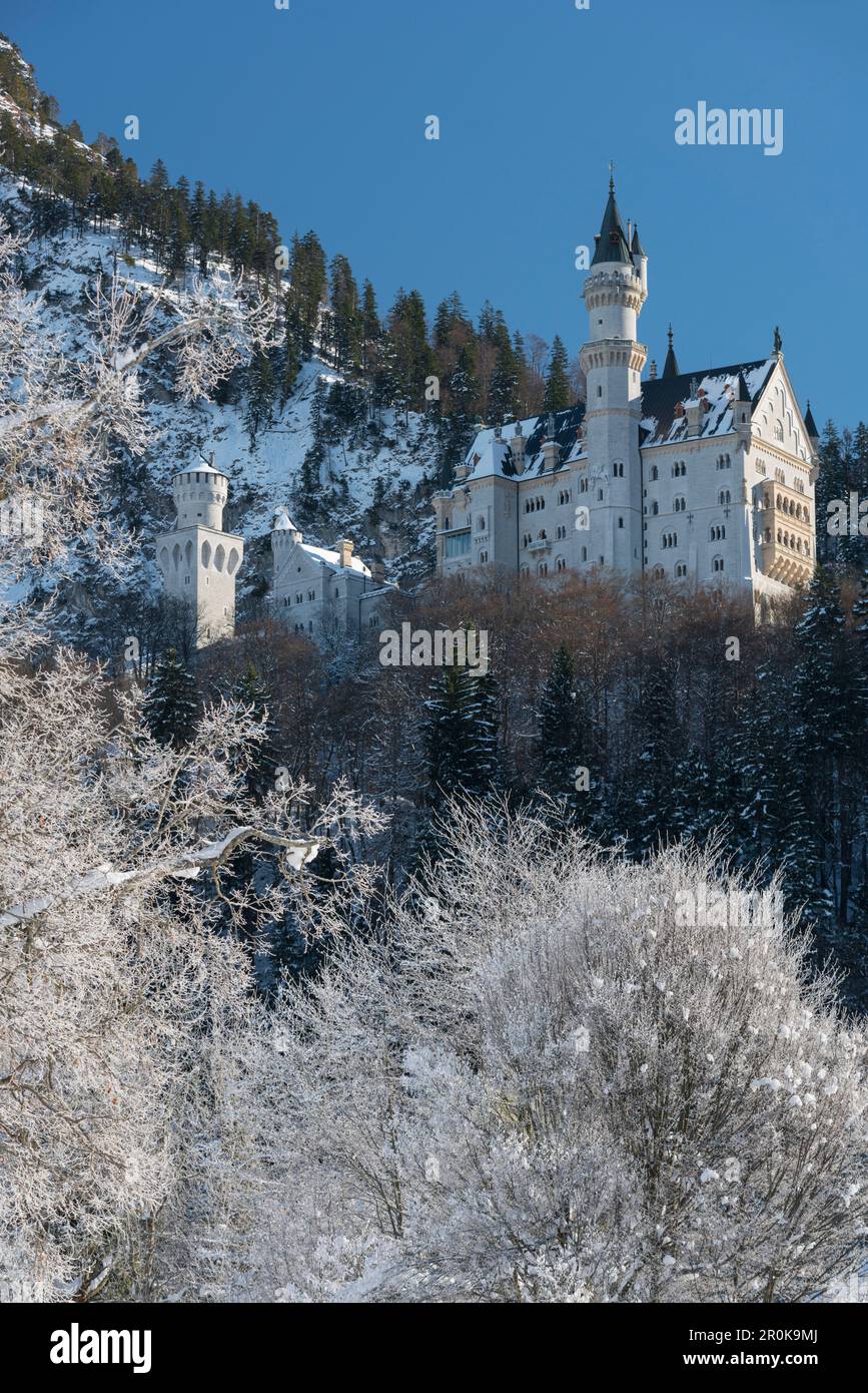 Schloss Neuschwanstein, Schwangau, Allgäu, Bayern, Deutschland Stock Photo