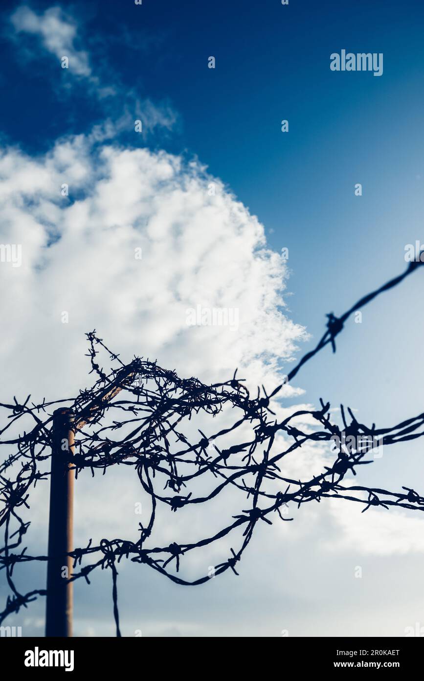 A barbed wire fence against a clear blue sky with white clouds in the ...