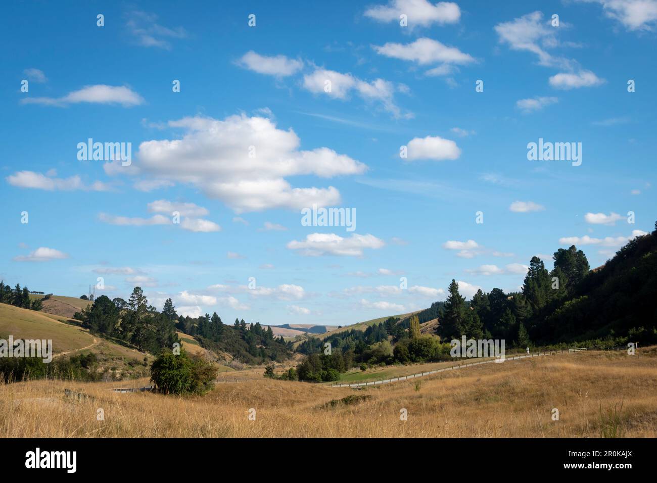 Gabriel's Gully, near Lawrence, Otago, South Island, New Zealand.  This was the site of the start of the New Zealand Gold Rush. Stock Photo