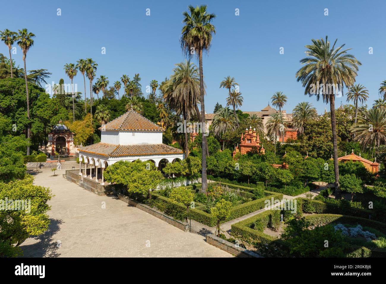 Pabellon de Carlos V., palm trees in the Jardines del Real Alcazar, royal palace, UNESCO World Heritage, Sevilla, Andalucia, Spain, Europe Stock Photo