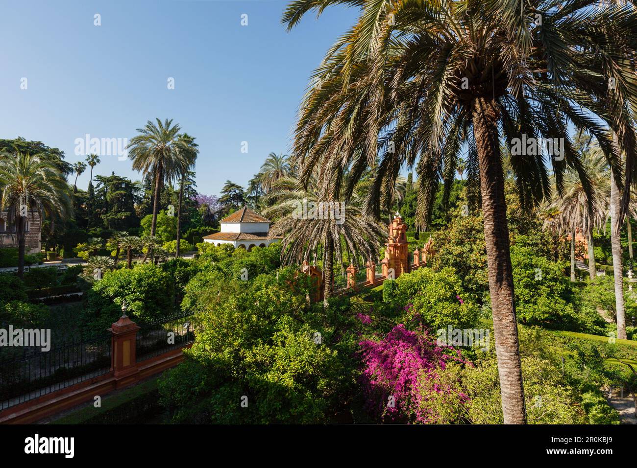 Pabellon de Carlos V., palm trees, Jardines del Real Alcazar, royal palace, UNESCO World Heritage, Sevilla, Andalucia, Spain, Europe Stock Photo