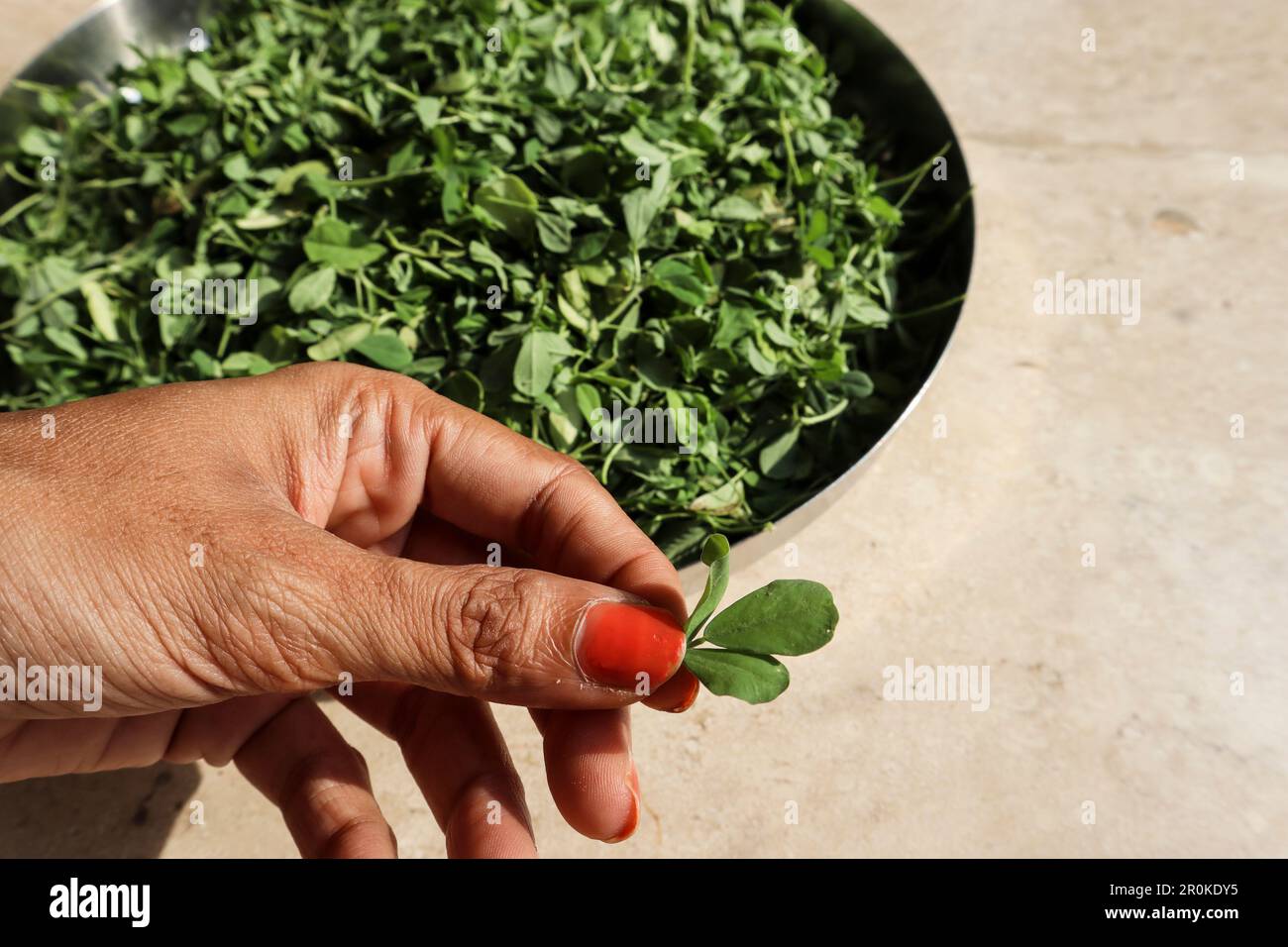 Indian Green Leafy Vegetables