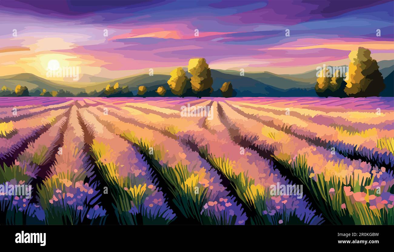 Lavender field sunset and lines. Beautiful lavender blooming scented ...