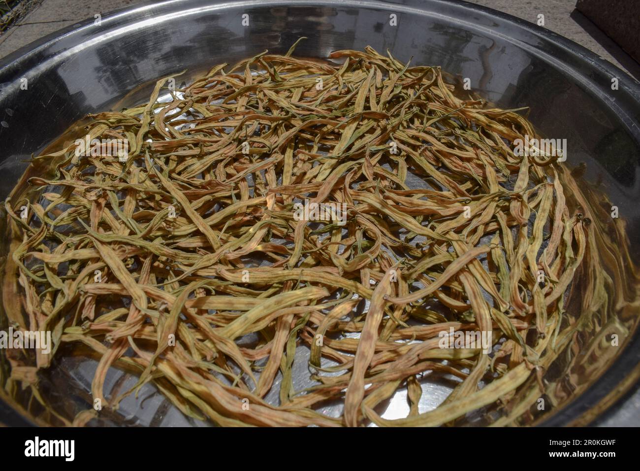 Sun dried Cluster beans vegetable mostly made and eaten in dry area deserts of Rajasthan and Gujarat. Dried gavar phali sabzi to be deep fried and eat Stock Photo