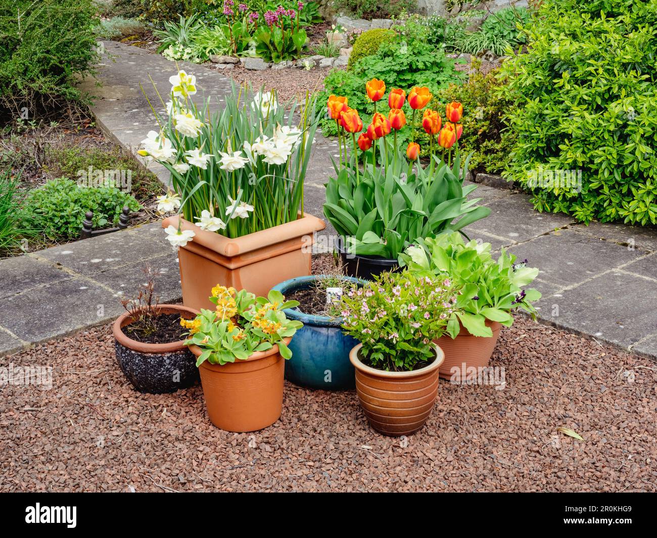 Display of plants in pots in a garden Stock Photo