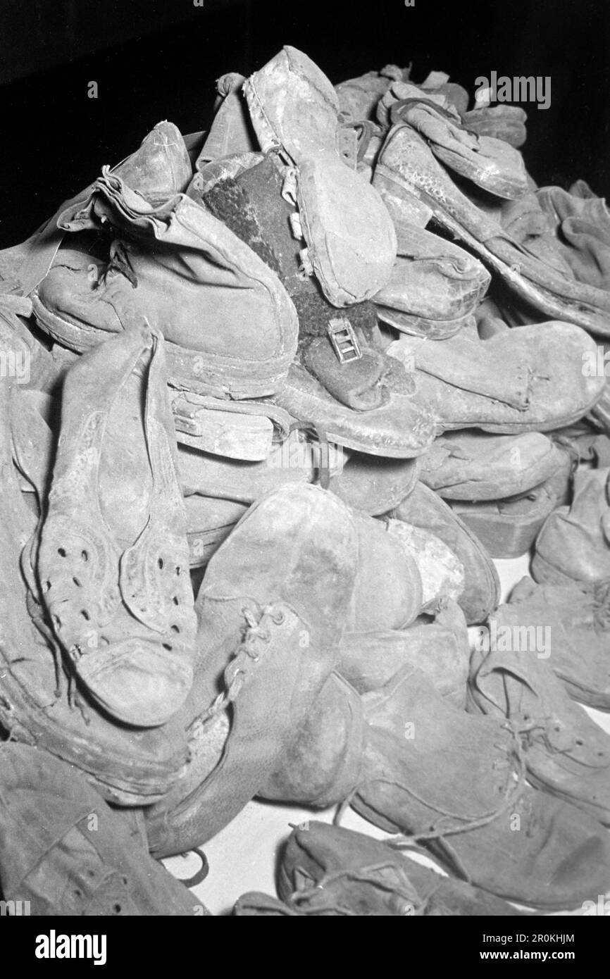 Top more than 139 inmate shoes kenmei.edu.vn