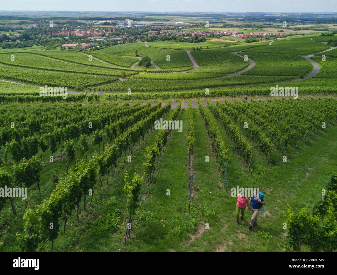Aerial of couple walking through Iphöfer Julius-Echter-Berg vineyard, Iphofen, Fränkisches Weinland, Franconia, Bavaria, Germany Stock Photo