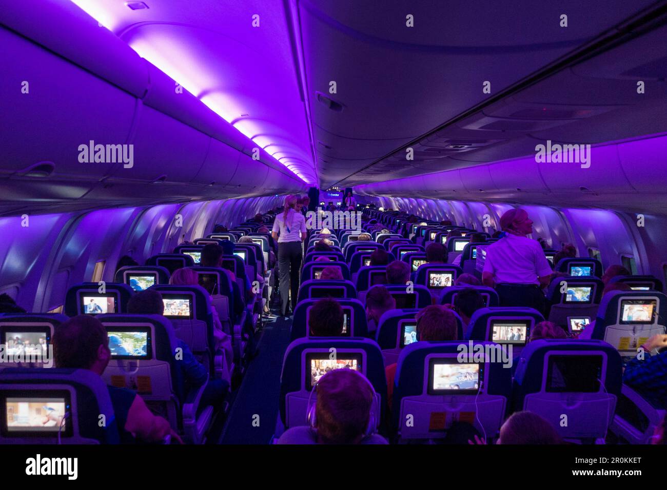 Flight attendants offer dinner service aboard Condor B767300ER (D