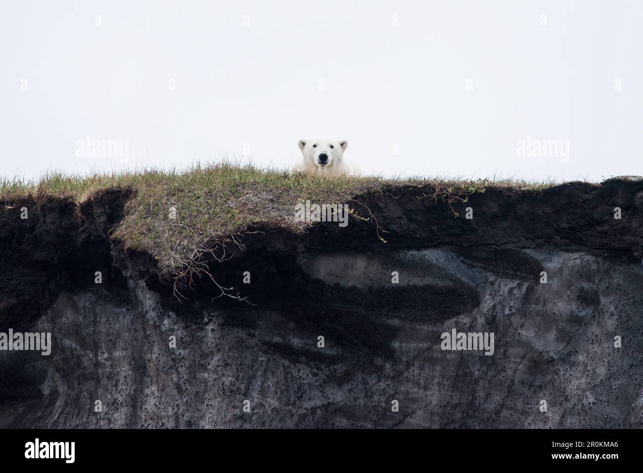 Flaxman island hires stock photography and images Alamy