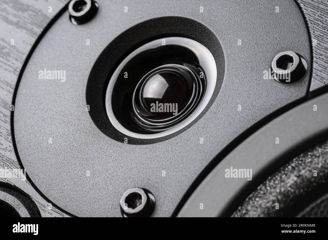 Black high frequency tweeter speaker close-up macro shot Stock Photo ...