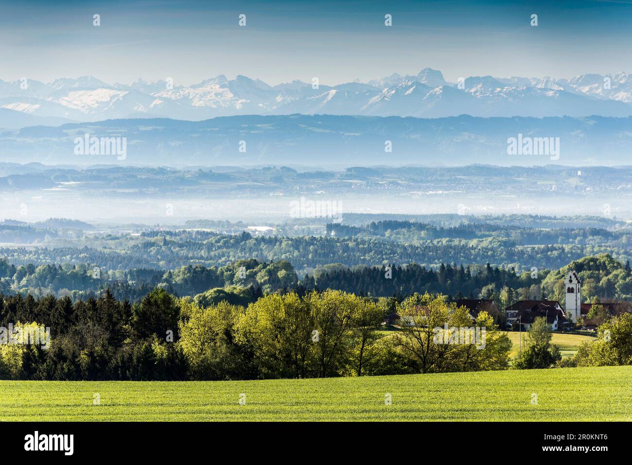 View over Lake Constance with Swiss Alps, Linzgau, Lake Constance,  Baden-Württemberg, Germany Stock Photo