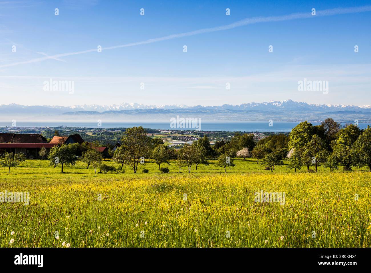 View over Lake Constance with Swiss Alps, Linzgau, Lake Constance,  Baden-Württemberg, Germany Stock Photo