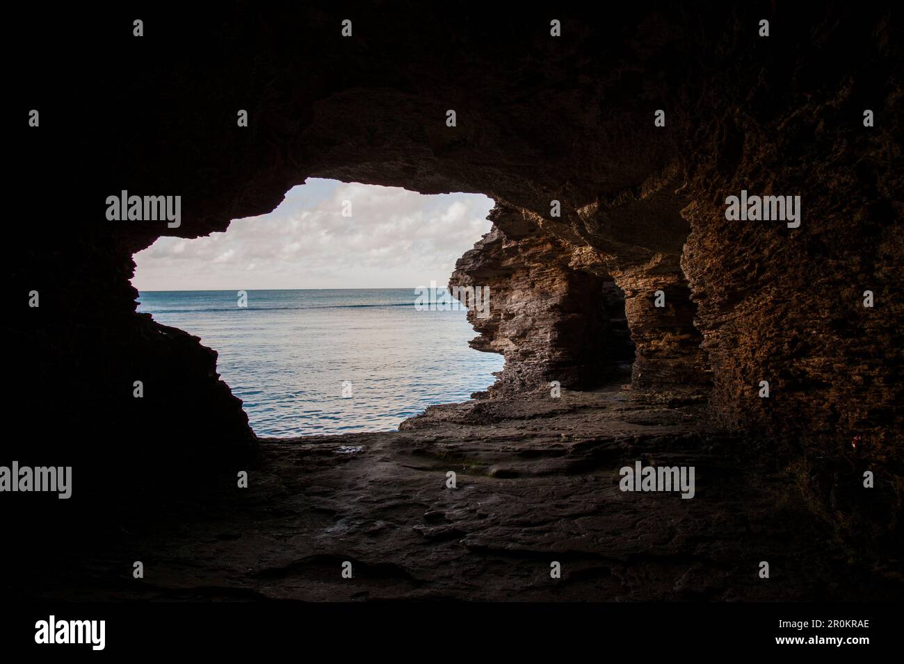 BERMUDA. Hamilton Parish. Cliff jumping, swimming off a point in