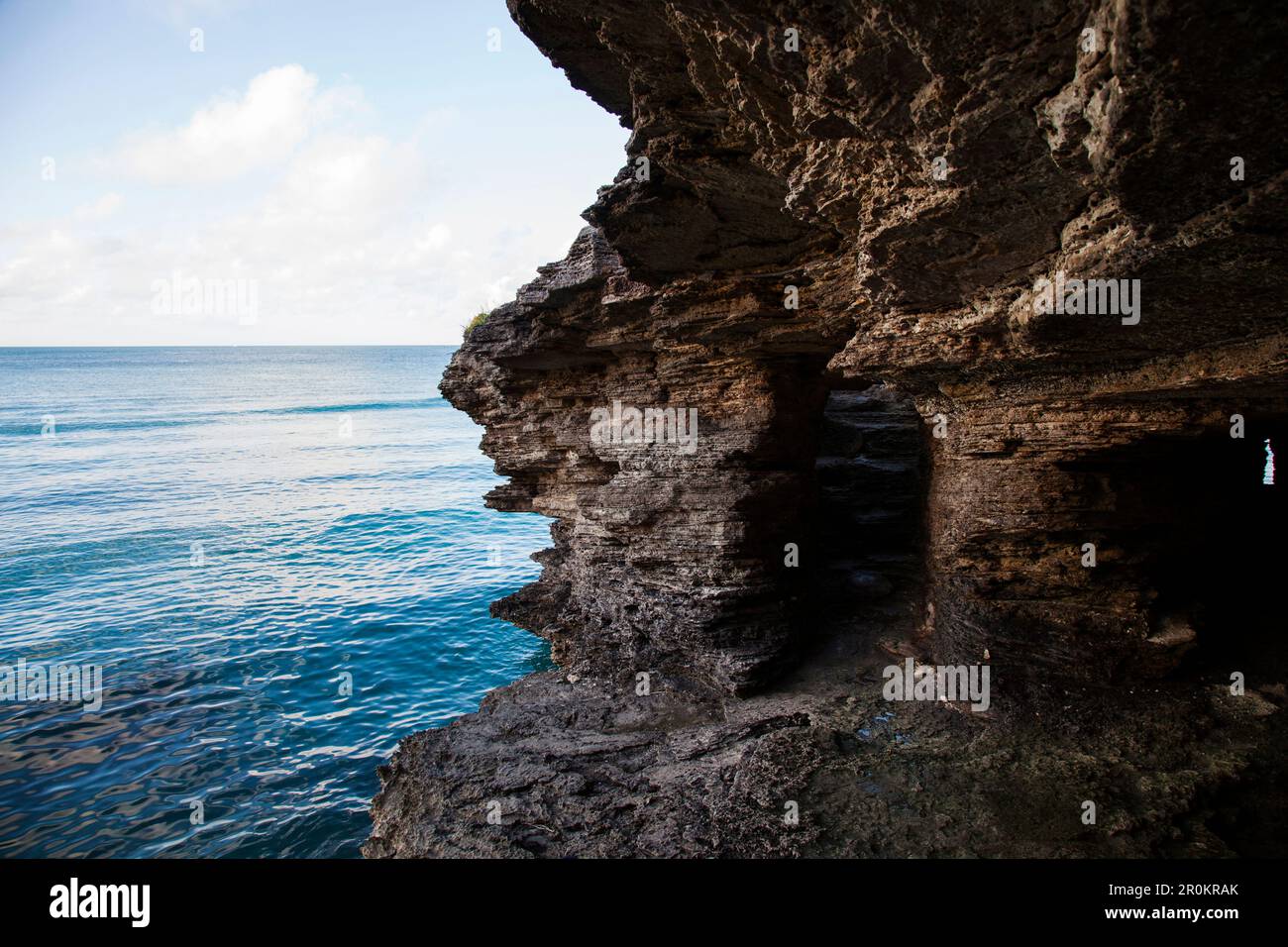 BERMUDA. Hamilton Parish. Cliff jumping, swimming off a point in