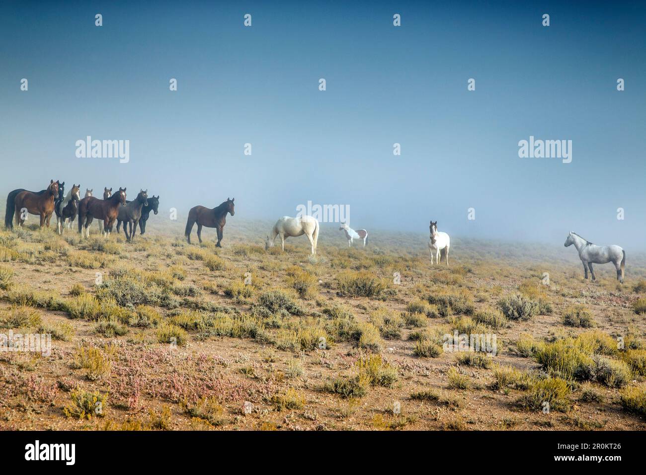 USA, Nevada, Wells, Mustang Monument, A sustainable luxury eco friendly
