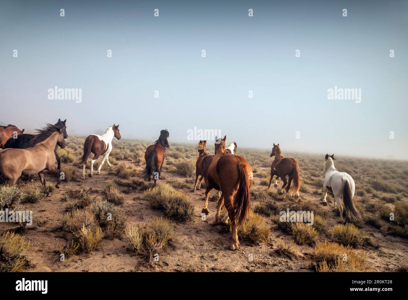 USA, Nevada, Wells, Mustang Monument, A sustainable luxury eco friendly