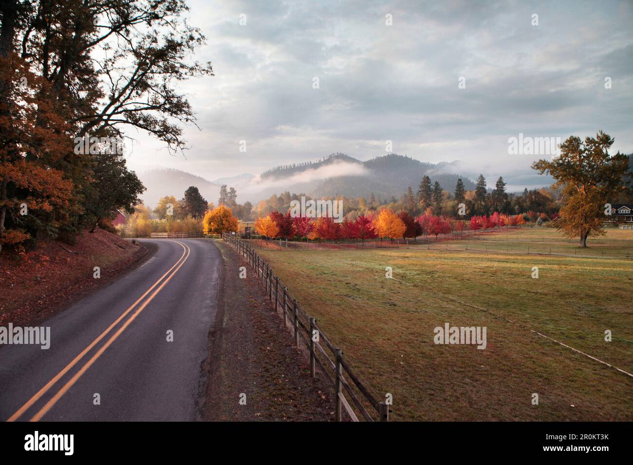 USA, Oregon, Medford, Buren Vineyard Stock Photo - Alamy