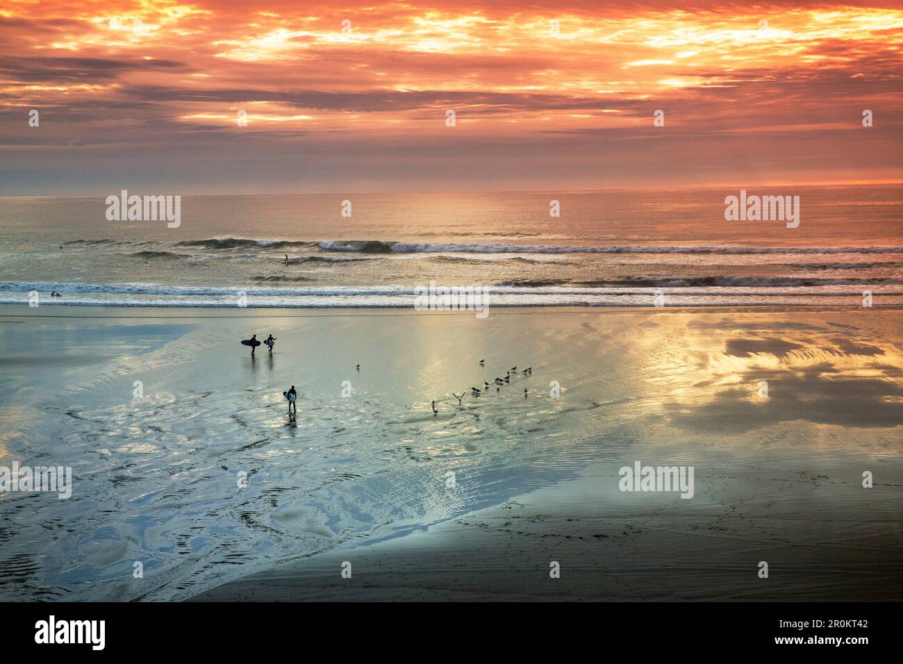 USA, Oregon, Indian Beach, from Ecola State Park there is a two mile trail that takes you to the breathtaking views and sandy beaches of Indian Beach Stock Photo