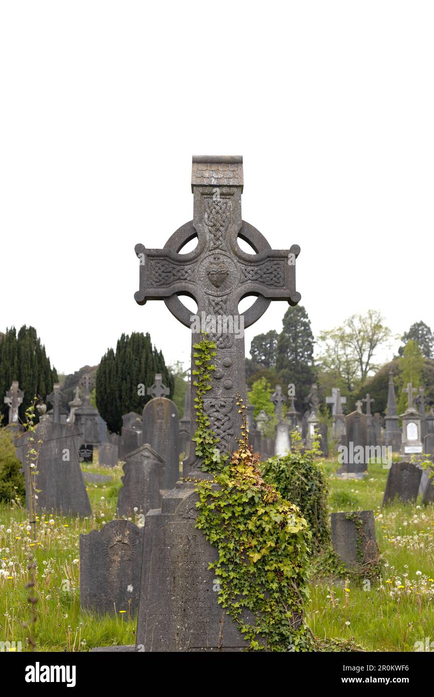 A beautiful Celtic cross grave marker at Glasnevin Cemetery in Dublin