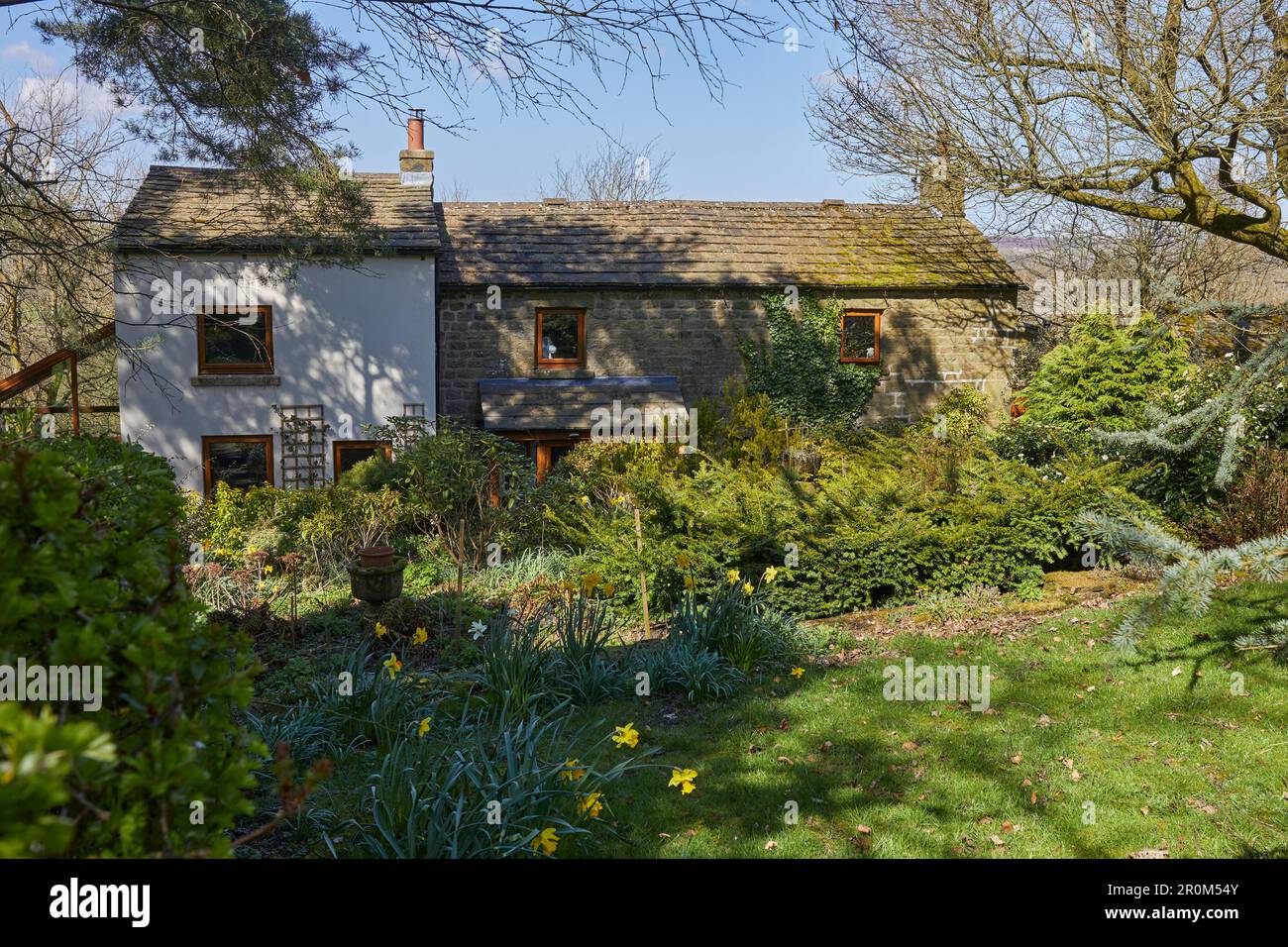 Traditional moorland cottage in April sunshine. North Yorkshire Stock Photo