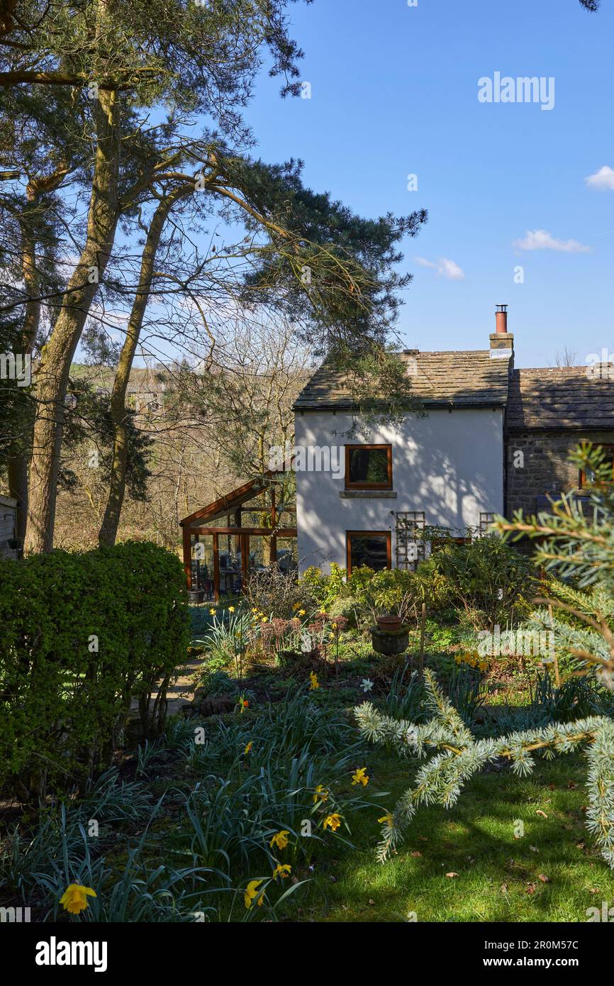 Traditional moorland cottage in April sunshine. North Yorkshire Stock Photo