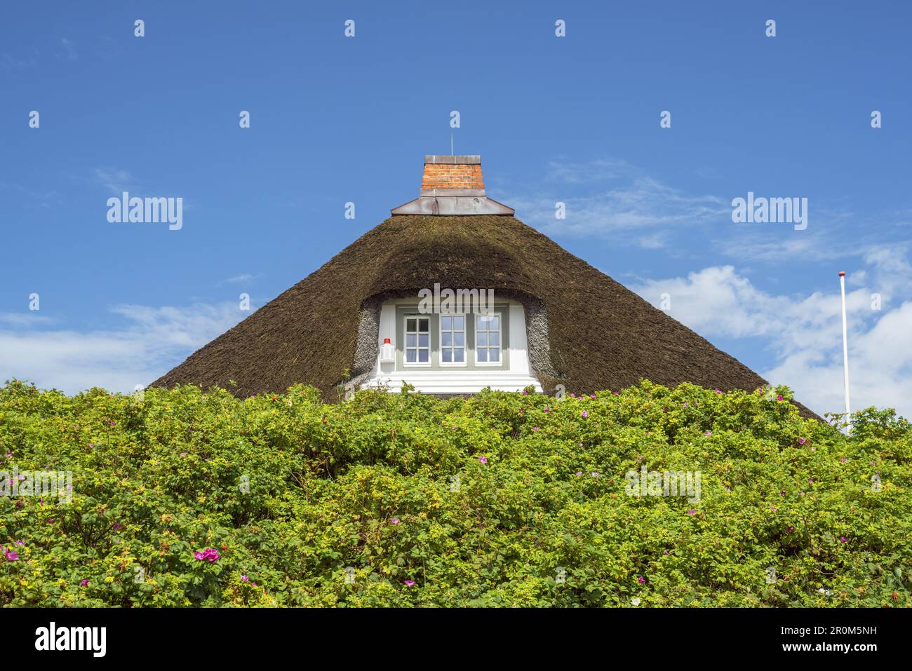 Thatched house in Hörnum, North Frisian Island Sylt, North Sea coast, Schleswig-Holstein, Northern Germany, Germany, Europe Stock Photo