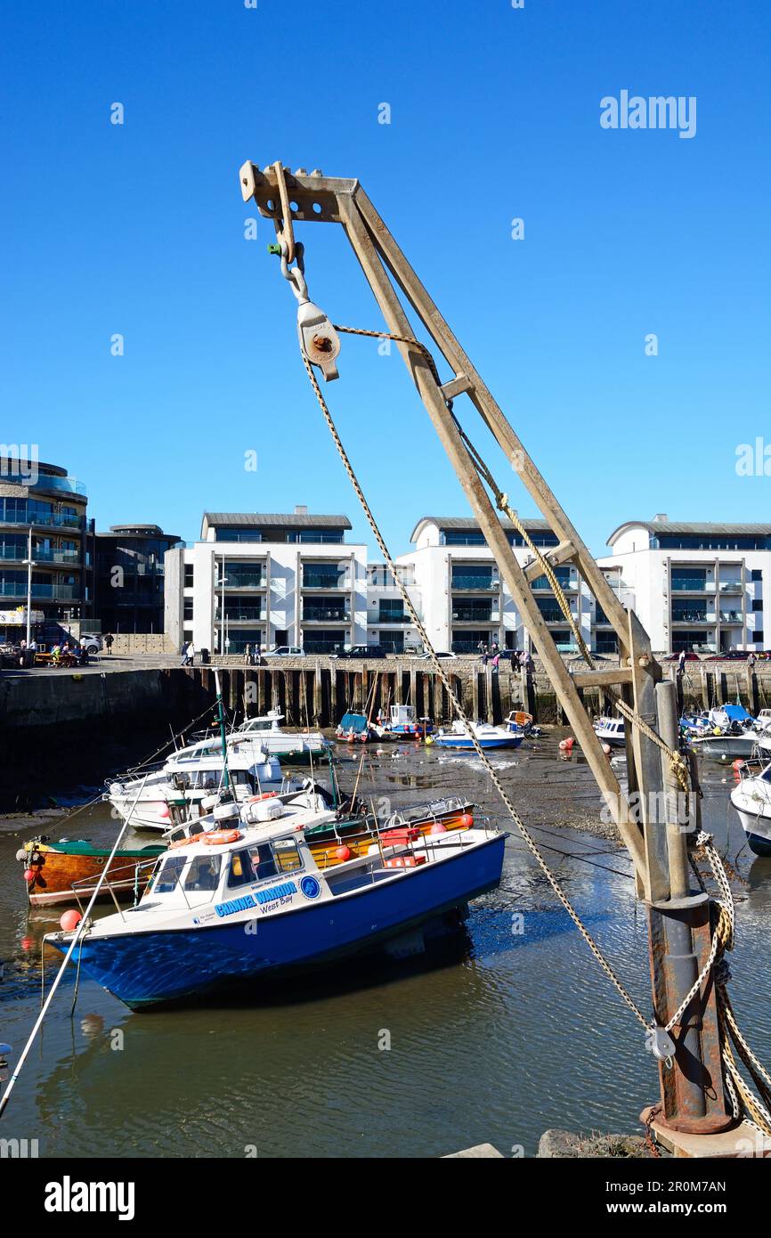 Traditional fishing boats moored in the harbour at low tide with town buildings to the rear and a quayside crane in the foreground, West Bay, Dorset. Stock Photo