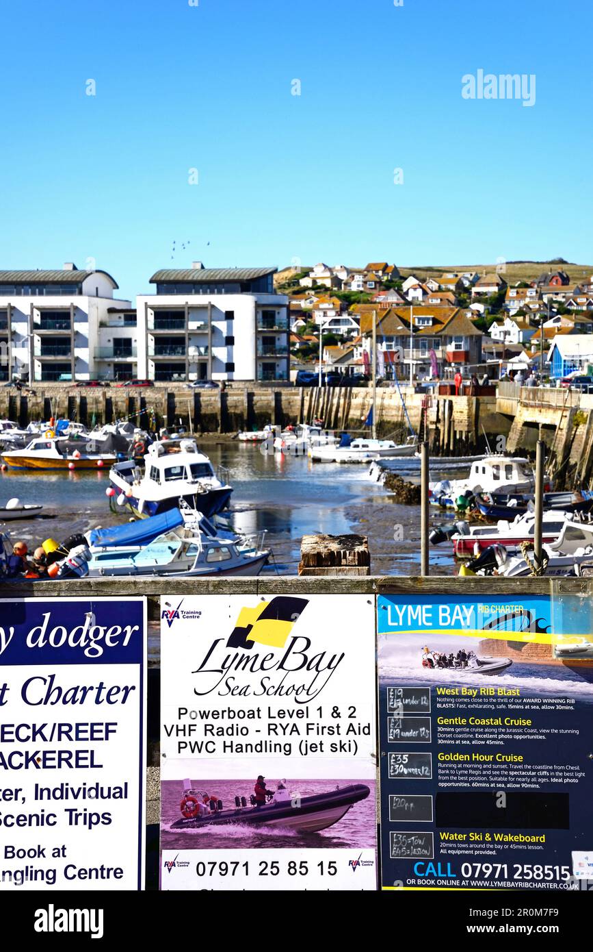 Advertising boards on the quayside with traditional fishing boats in the harbour at low tide to the rear, West Bay, Dorset, UK. Stock Photo