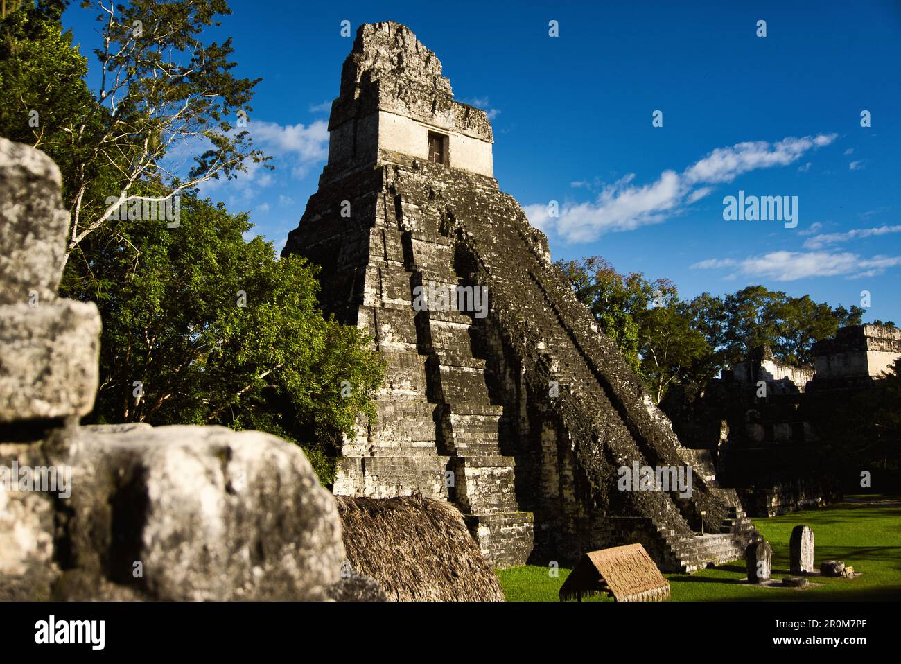 Tikal nationalpark maya culture in guatemala central america stock