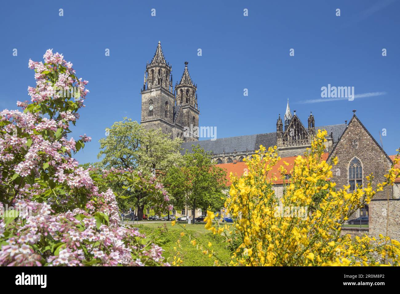 Magdeburg Cathedral and Fürstenwall, Magdeburg, Saxony-Anhalt Stock Photo