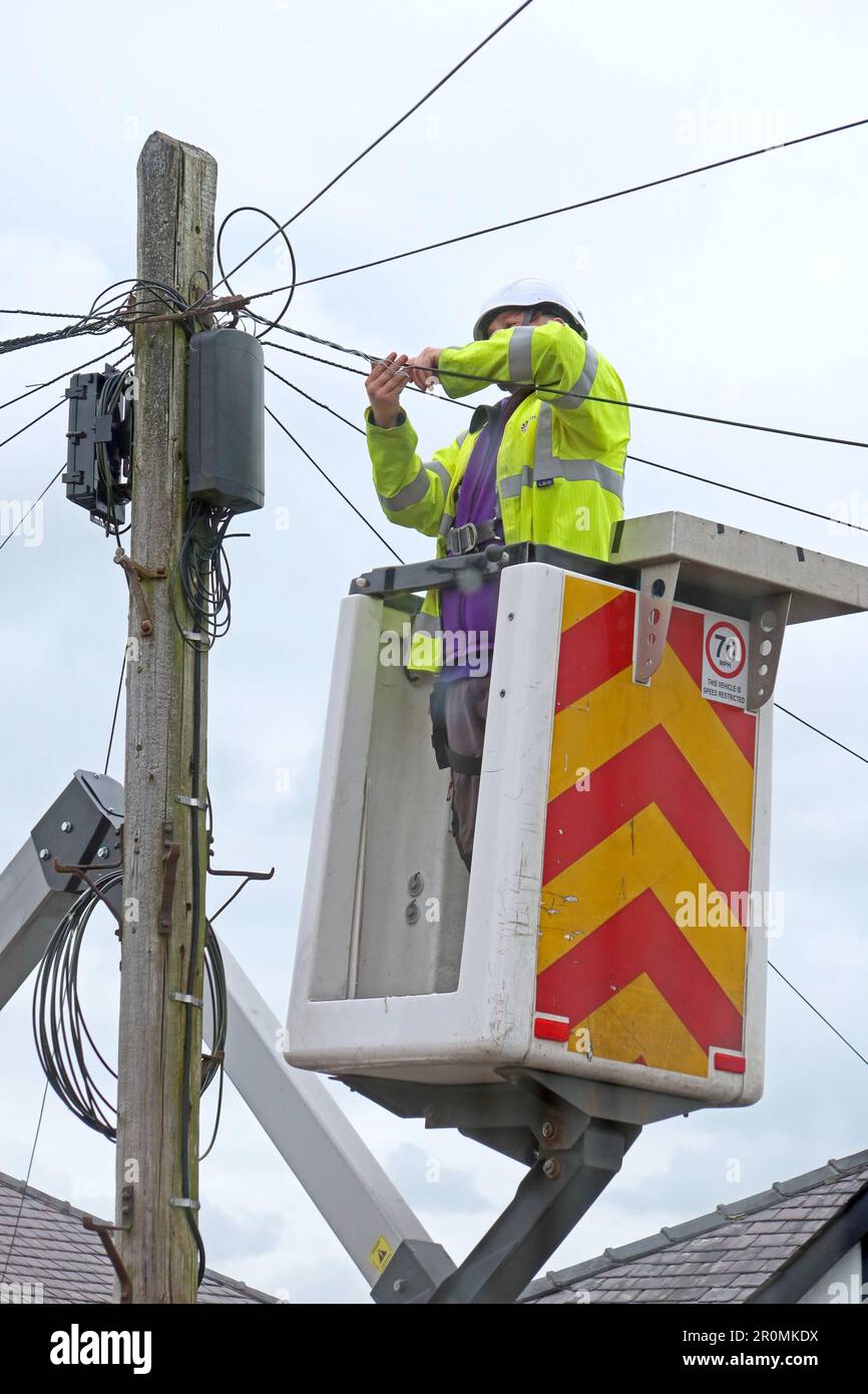 Broadband and home telephone lines being added, by Network Construction & Development , NCD, cabling contractor for OpenReach, Cheshire,UK Stock Photo