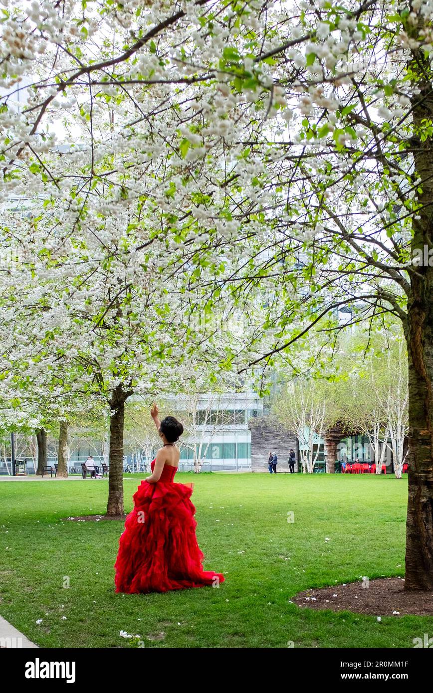 London Views April 2023 - A young woman in red wedding dress enjoys the Spring blossom near Tower Bridge Stock Photo