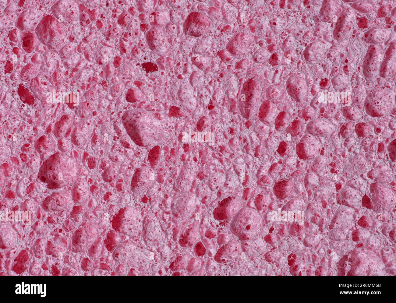 https://c8.alamy.com/comp/2R0MM6B/texture-of-a-porous-pink-sponge-in-close-up-as-an-abstract-background-2R0MM6B.jpg