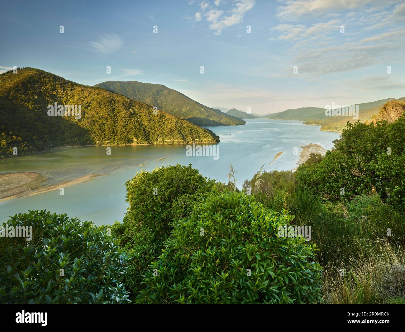 Pelorus Sound, Tasman, South Island, New Zealand, Oceania Stock Photo