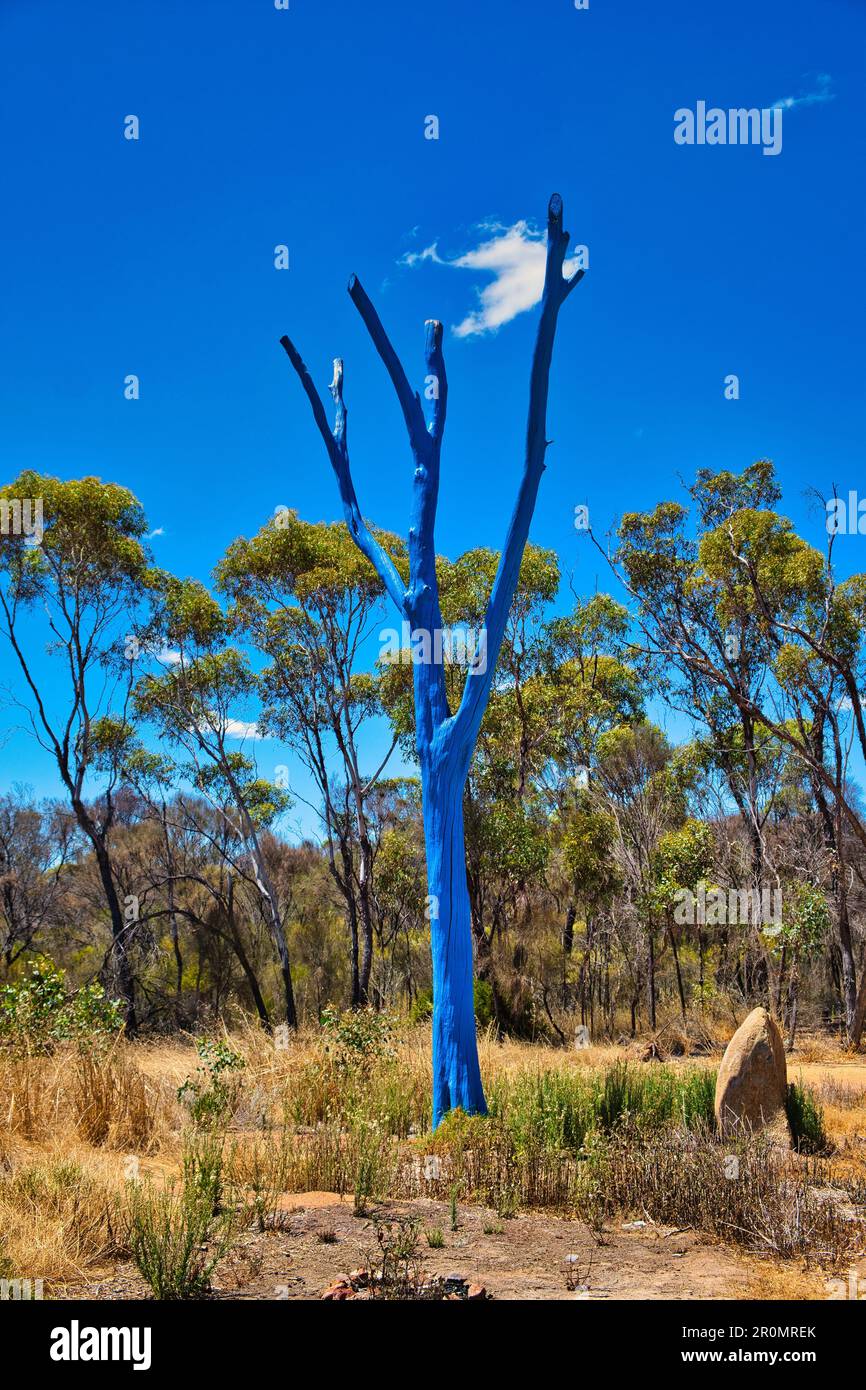 A dead tree painted blue. The Blue Tree Project is an Australian project for public awareness of mental health and suicide. Stock Photo