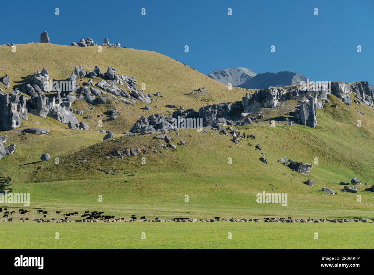 Canterbury castle hill rocks hi-res stock photography and images - Alamy
