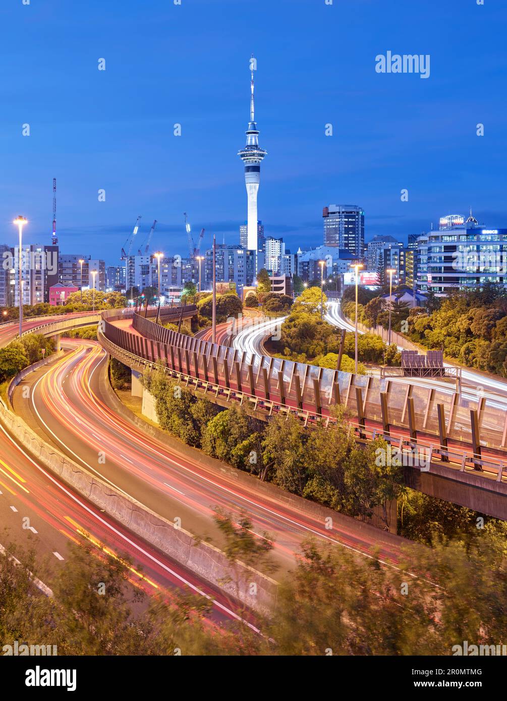 View from Hopetoun Street, Lightpath, Sky Tower, Auckland, North Island, New Zealand, Oceania Stock Photo