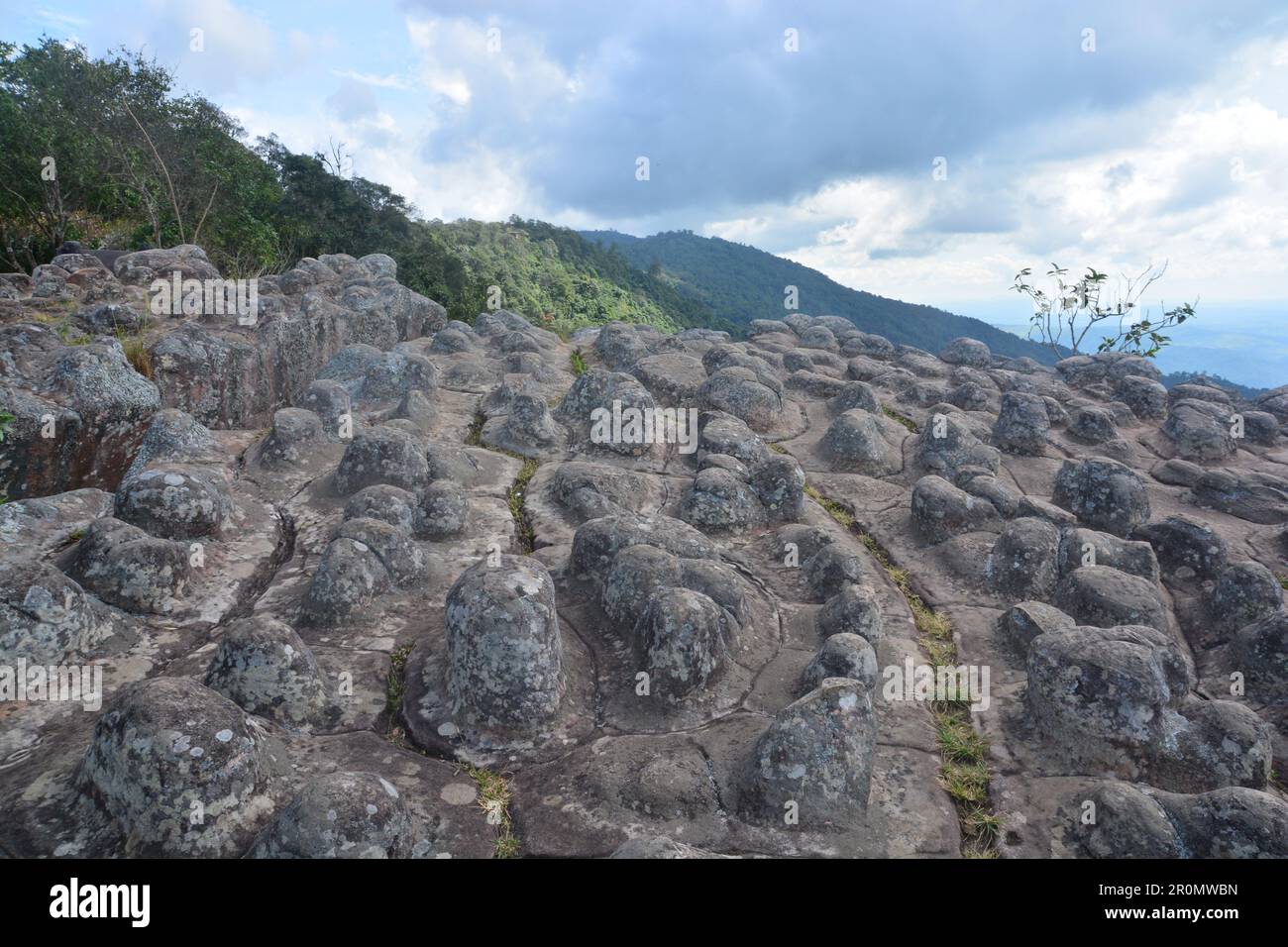 Lan Hin Pum Pum [Nodule Rock Field] At Phu Hin Rong Kla National Park ...