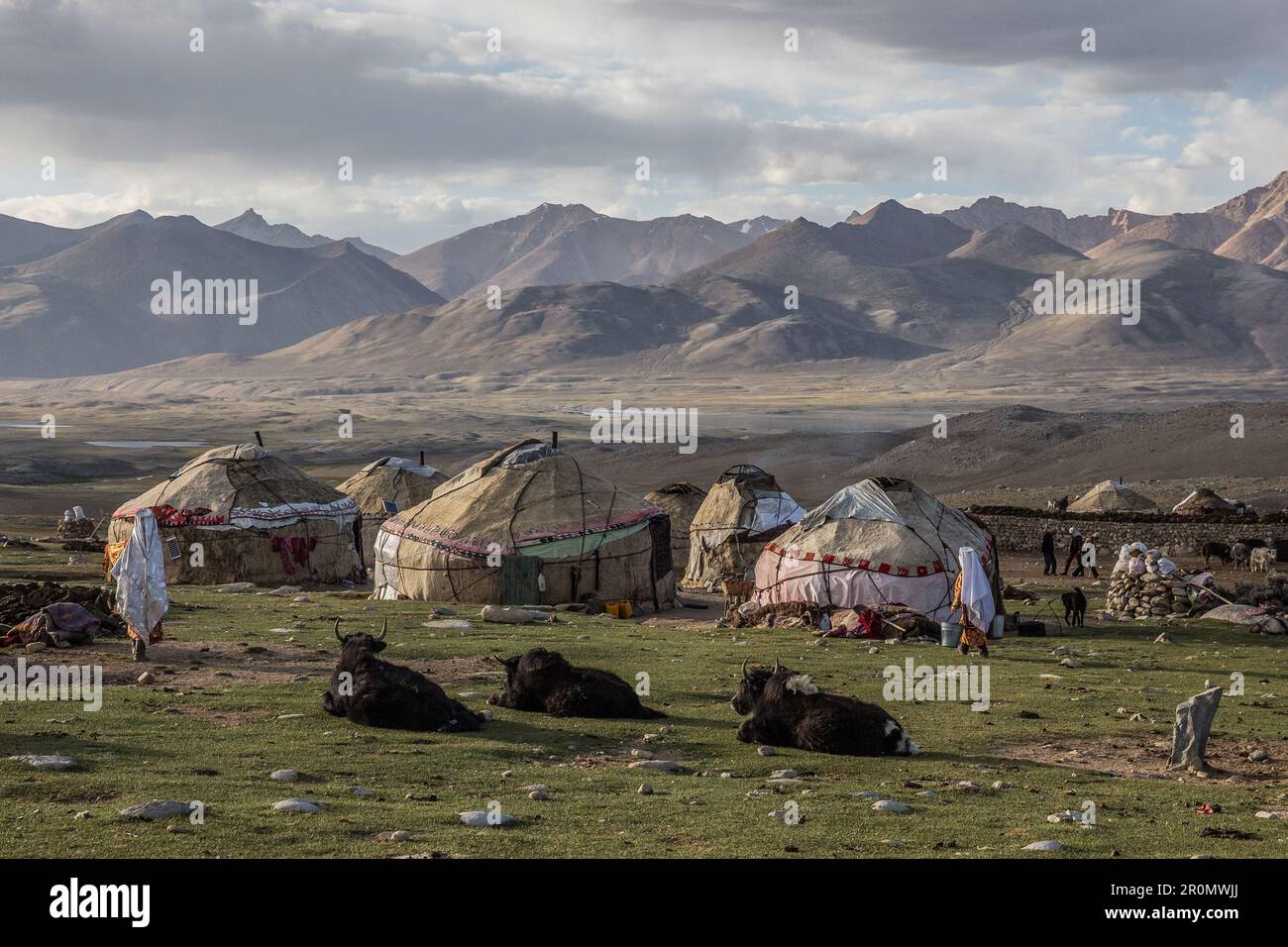 Kyrgyz yurt settlements with yaks in Pamir Mountains, Moqur, Afghanistan Stock Photo