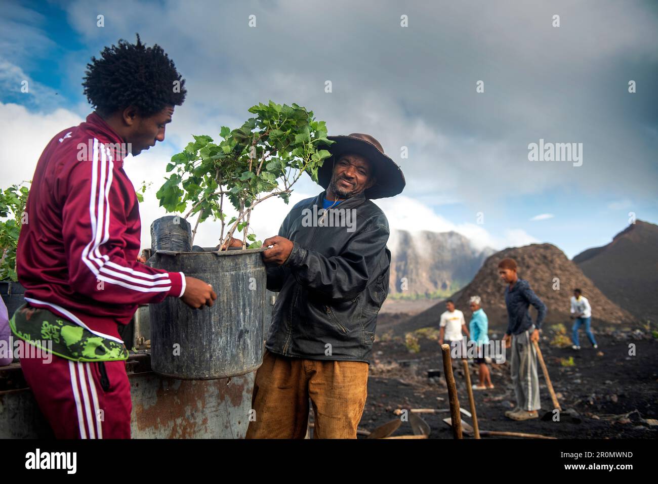 Cape Verde, Island Fogo, NationalPark Fogo, Village Cha,landscape, Active Vulcano, Lavafields, coffee, wineyards, wine,farmers, working the land, plan Stock Photo