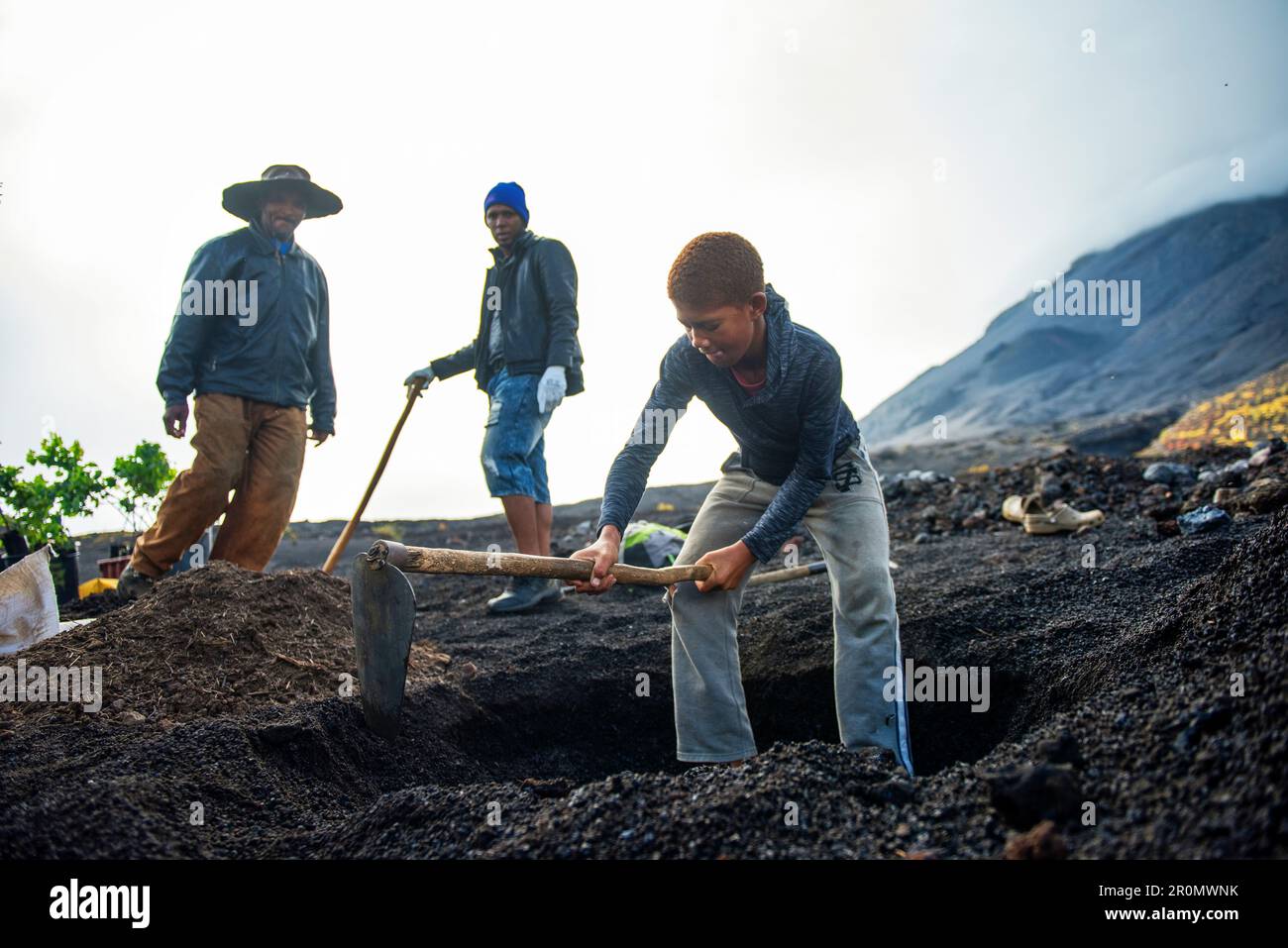 Cape Verde, Island Fogo, NationalPark Fogo, Village Cha,landscape